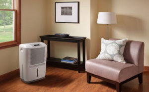 30 pint dehumidifier featured image