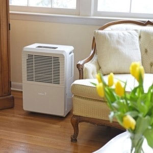 Best 50 Pint Dehumidifier