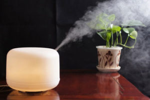 Humidifier with Diffusion