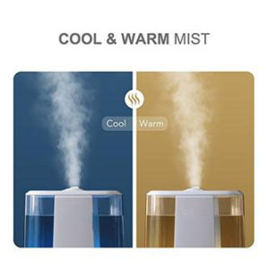 cool and warm mist humidifier