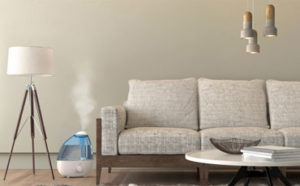 cool mist humidifier featured image