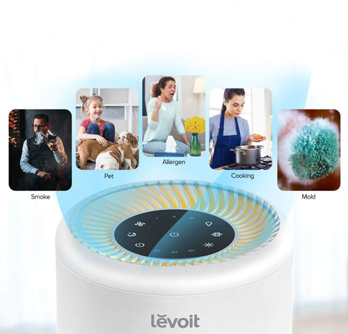 Best Levoit Air Purifier