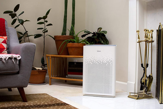 Best Winix Air Purifier