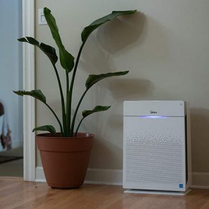 Winix Air Purifier Reviews