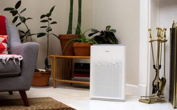 Winix Air Purifiers